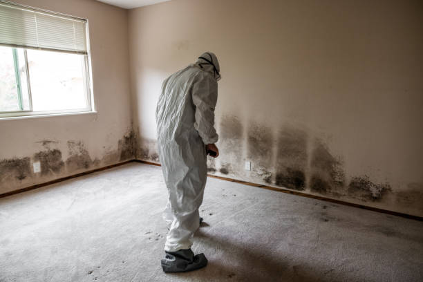 Best Mold Remediation Services  in Key Center, WA