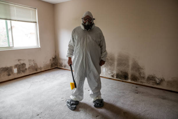Best Crawl Space Mold Removal  in Key Center, WA
