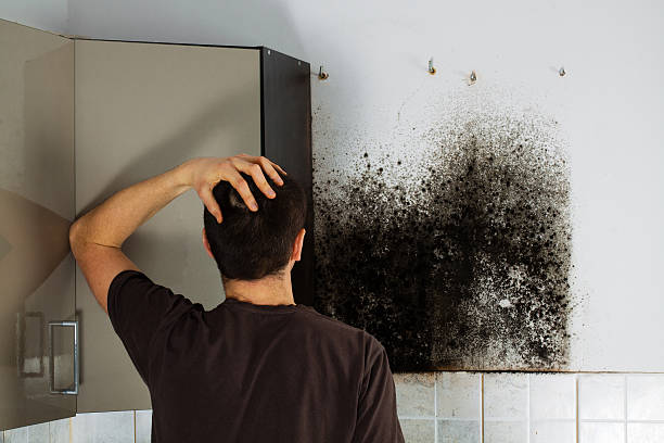 Best Mold Cleaning Services  in Key Center, WA